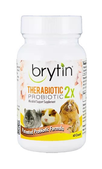 美国brytin奔腾2x水果酵素益生菌补充剂龙猫兔子便秘胀气拉稀调理