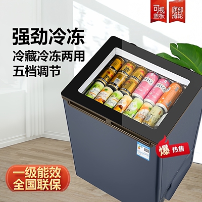 新款一级节能小冰柜冷藏柜可移动