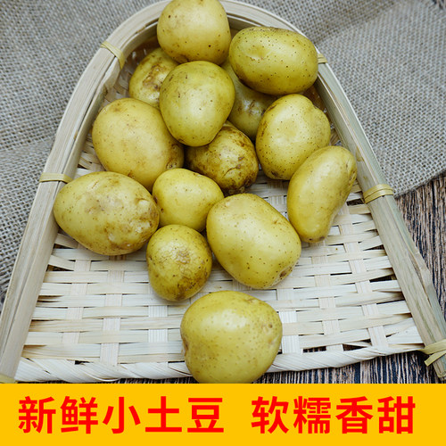 土豆马铃薯农家自种3斤5斤包邮