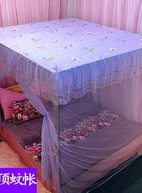 定做公主风防尘顶单开门蚊帐落地纹帐加密家用单双人床1.5米/1.8m