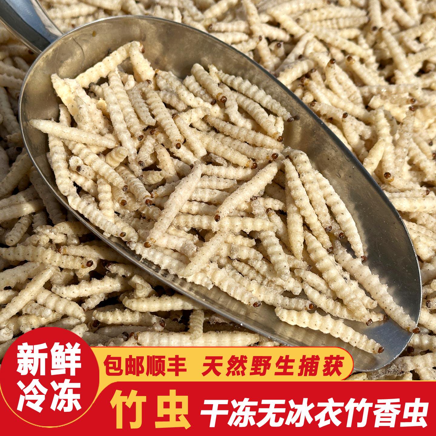 云南特产竹虫食用昆虫竹香虫高蛋白竹蛆野生竹蜂儿无冰无霜竹节虫