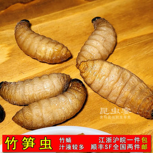 广宁竹笋虫蛹大胖竹虫1斤装冷冻大竹蛆笋子虫笋蛆1件全国顺丰包邮