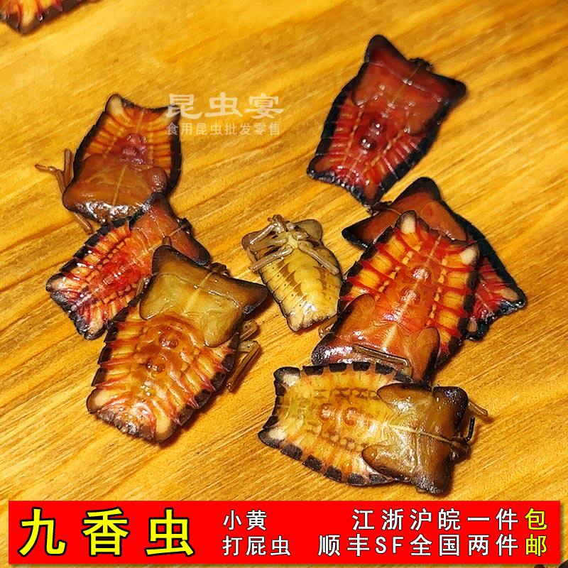 小黄九香虫臭鳖虫臭屁虫食用昆虫冷冻打屁虫野生虫子食材臭板子虫