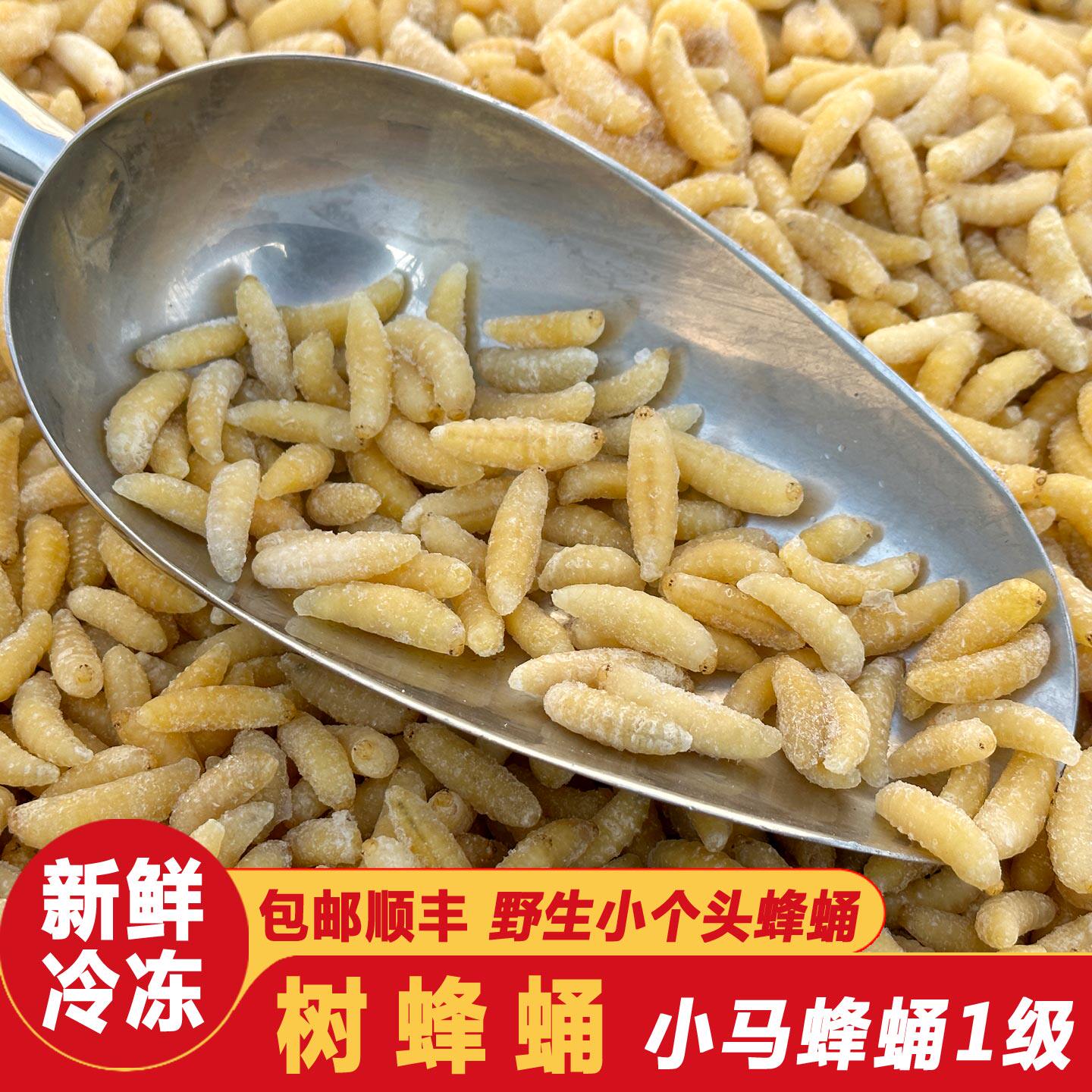 野生葫芦蜂1级新鲜树蜂蛹马蜂冷冻幼蜂云南特产昆虫子美食2件包邮