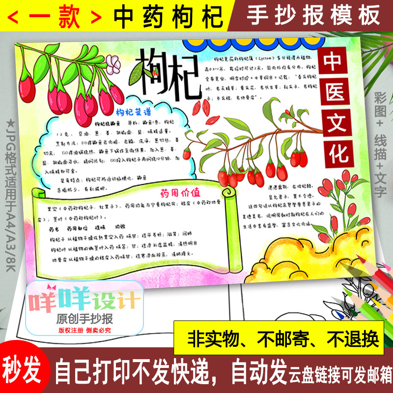中药植物枸杞子手抄报模板黑白线描可涂色弘扬中医文化中草药小报