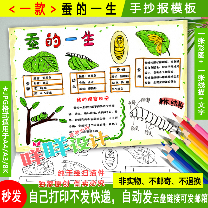 蚕宝宝的一生自然笔记黑白线描涂色空白小学生观察日记手抄报模板 商务/设计服务 设计素材/源文件 原图主图