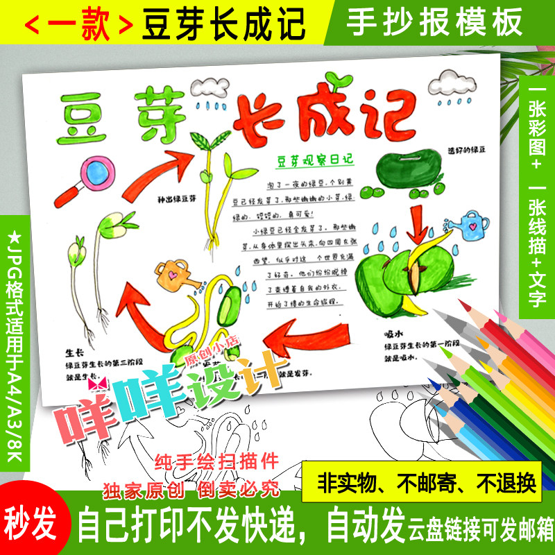 绿豆芽植物成长日记小报黑白线描涂色空白学生自然笔记手抄报模板