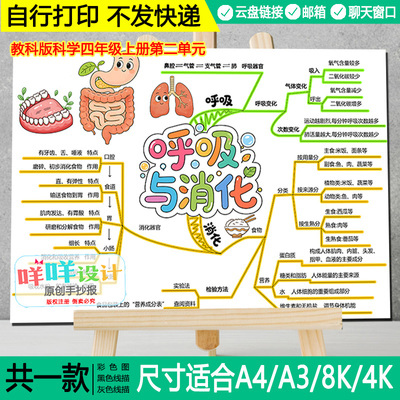 教科版科学四年级上册二单元呼吸与消化思维导图黑白线描涂色模板