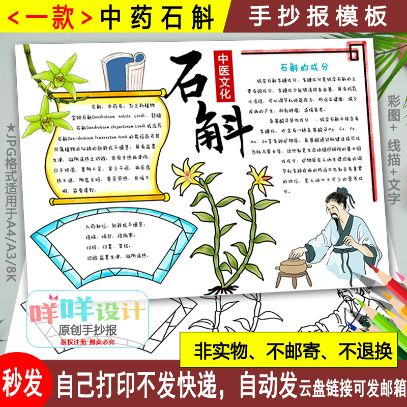 中药植物石斛手抄报模板黑白线描可涂色弘扬中医文化中草药小报