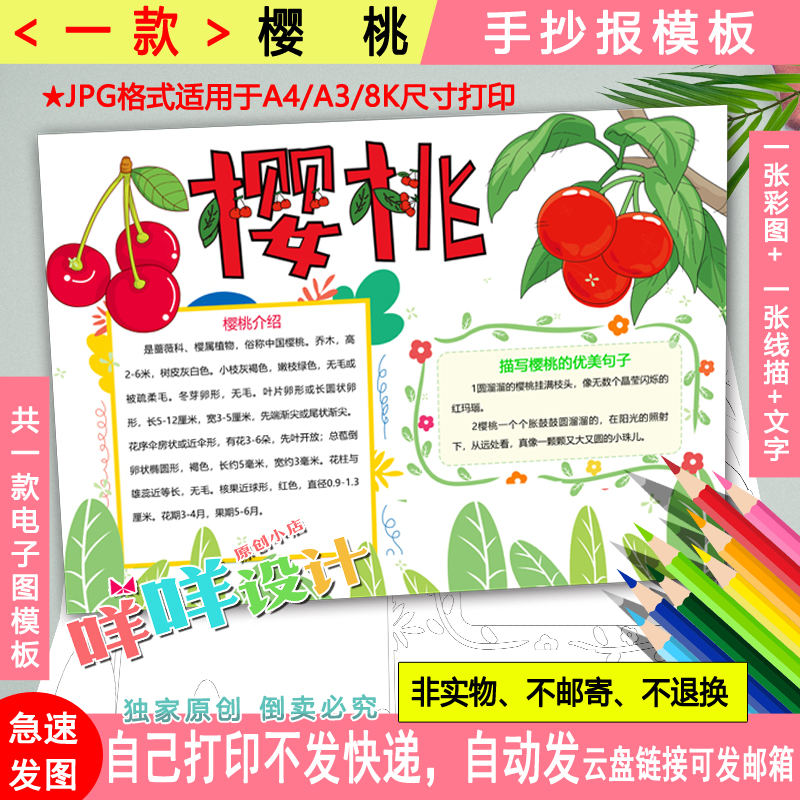 樱桃水果观察日记涂色描线空白a4/a3/8k小学生自然笔记手抄报模板