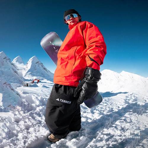 阿迪达斯TERREX男滑雪裤