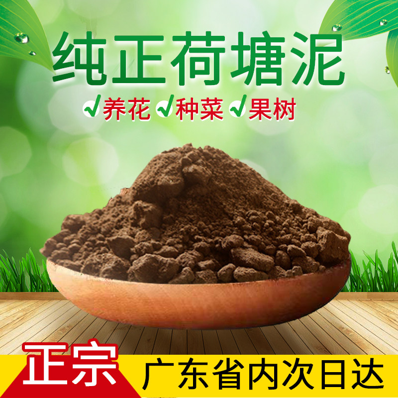 营养土种植土塘泥天然泥土池塘土花土种菜土50斤/1吨兰花有机肥土,鲜花速递/花卉仿真/绿植园艺,介质/营养土,淘宝优惠券,粉丝福利购,淘宝优惠卷