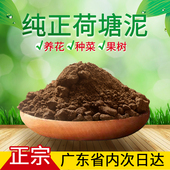 营养土种植土塘泥天然泥土池塘土花土种菜土50斤 1吨兰花有机肥土