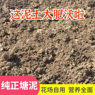 桑基鱼塘泥种植碎泥阳台菜园种菜通用营养土君子兰水果西瓜专用土