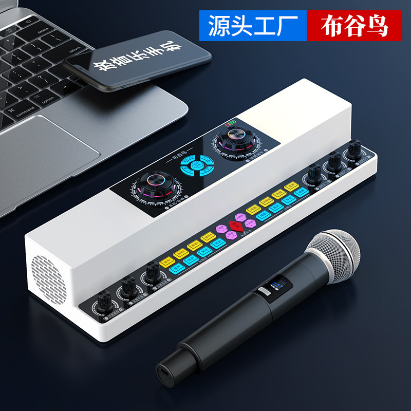 布谷鸟Y6声卡音响一体机户外直播唱歌广场舞音箱主播设备全套话筒属于什么档次？
