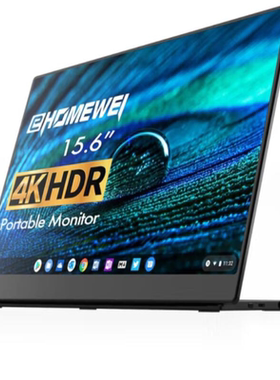 适用EHOMEWEI L10 Pro 15.6寸显示器软钢化防蓝光膜水凝膜类纸膜