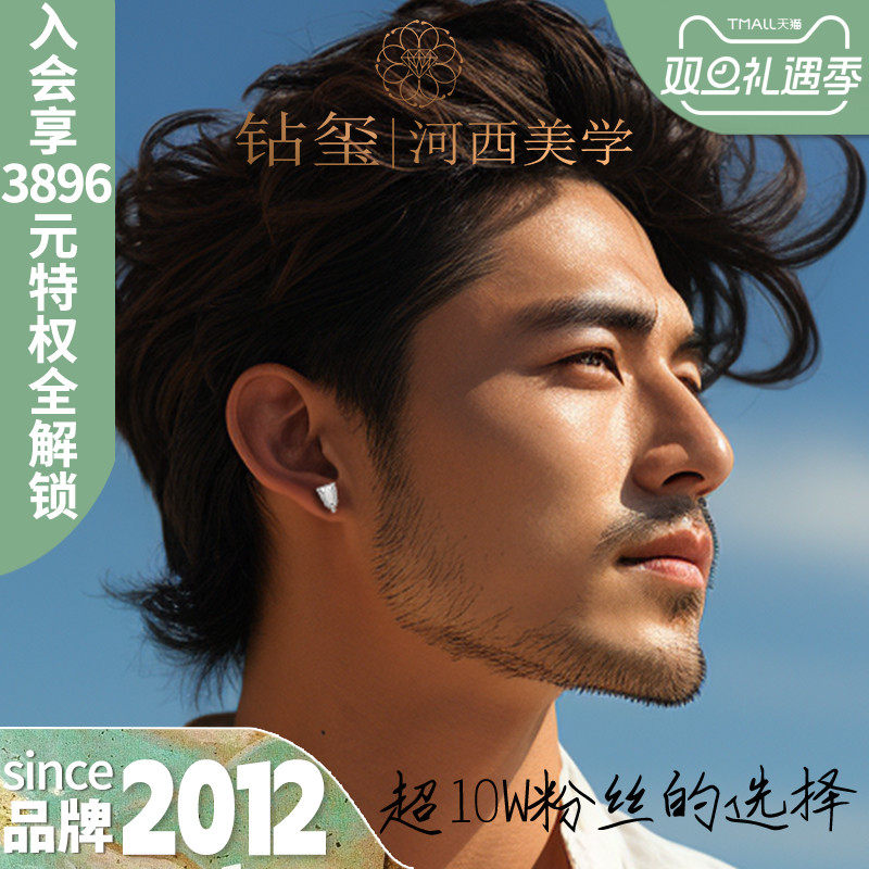 钻玺河西美学骠骑之盾钻石耳钉