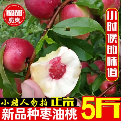 珍珠枣油桃麻点蜜桃红皮白肉脆甜