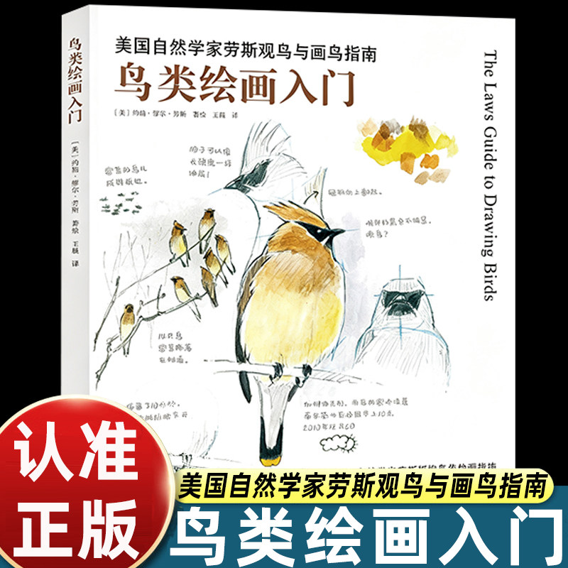 鸟类绘画入门美国自然学家劳斯观鸟与画鸟指南零基础动物手绘教程鸟类解剖结构速写技法自然观察写生插画爱好者临摹参考正版
