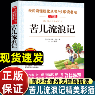 苦儿流浪记埃克多马洛原著正版小学生课外阅读书籍三年级四五六青少年人民儿童文学教育读物天地出版社注释全集完整版推荐