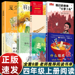 夏洛 在口袋里 网我们 童年林汉达中国历史故事集装 爸爸什么组成我 弟弟小萝卜头昆虫记肩上 8册四年级上课外书必读老师推荐