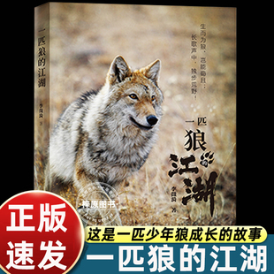 一匹狼的江湖 李微漪 重返狼群作者新作 图文动物生态人性之书给人与爱新年礼物 一部狼的自传软精装裸脊 三环出版社