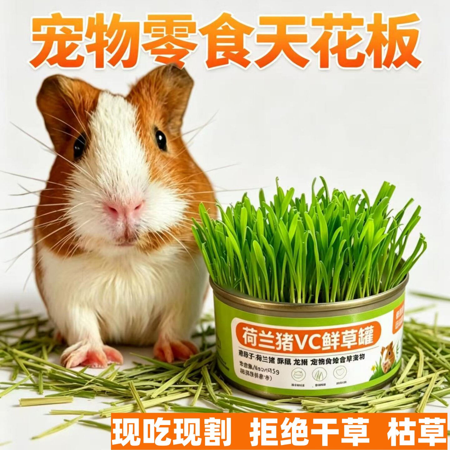 瑞泰丹尼水培懒人鲜草罐