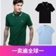 Polo衫 休闲夏季 条纹商务翻领保罗衫 FP麦穗男士 短袖 T恤