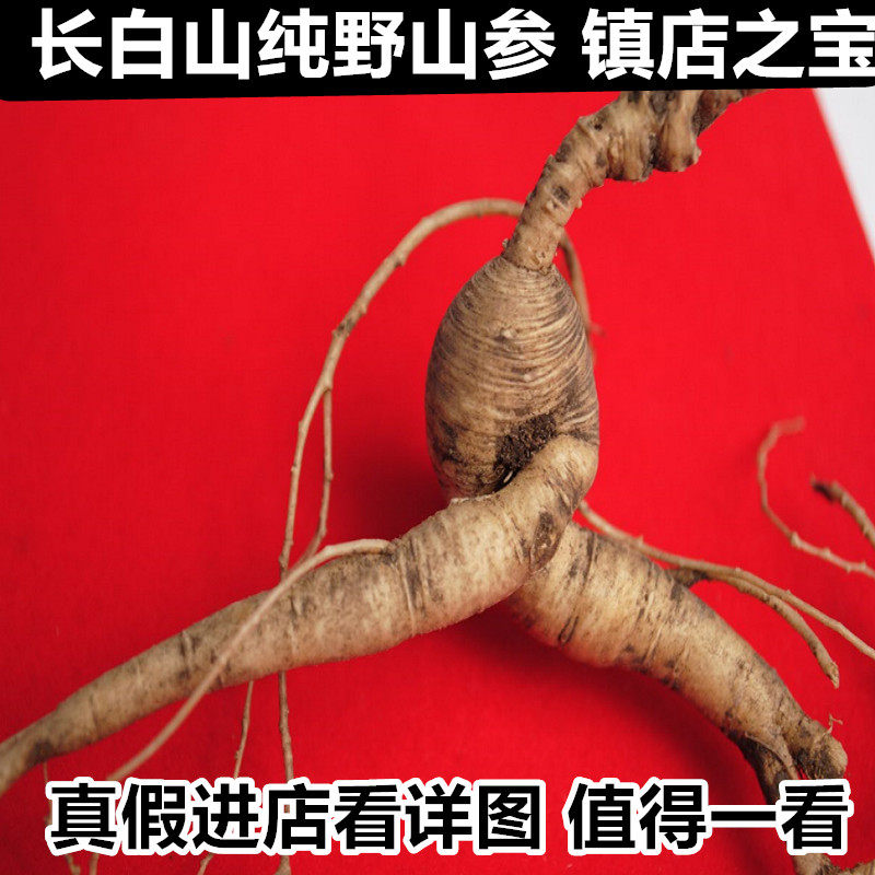东北新鲜野山参 长白山纯野生山参 带土鲜野山参移山参林下参泡酒|ruв категории традиционные питательный пища, женьшень класса тоник, женьшень - от Buy2taobao.com для оказания профессиональной услуги покупки агента Taobao