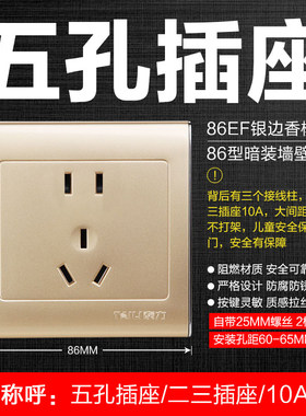 泰力86型暗装开关插座一开双五孔