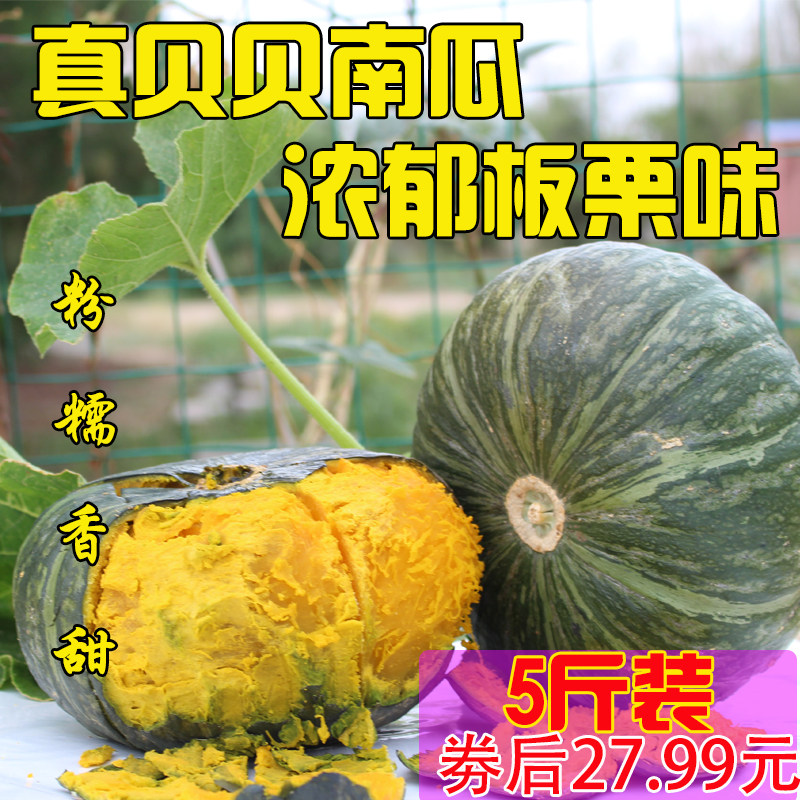 真贝贝南瓜 板栗味贝贝南瓜新鲜南瓜金丝南瓜速食宝宝辅食5斤包邮