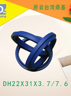 原装DH22X31X3.7/7.6台湾鼎基防尘圈液压油缸密封件DINGZING DZ