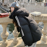 现货！！新款学院风织带羽绒服239-8712-p235k348，女装羽绒服，浙宝239