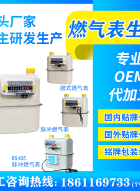 OEM贴牌代加工生产膜式燃气表RS485天燃气表出口工厂自提价全类型