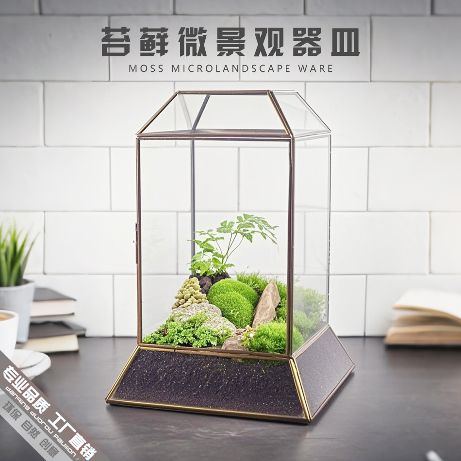 创意桌面苔藓造景花盆