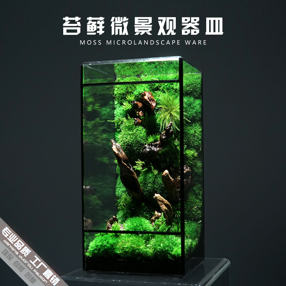几何玻璃花房小型苔藓微景观