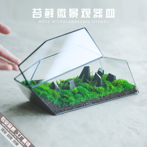 桌面盆栽绿植迷你生态瓶花盆