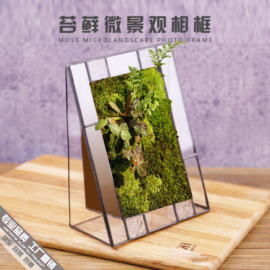 苔藓相框复古多肉植物相框多肉墙玻璃摆件咖啡客厅家居装饰工艺品