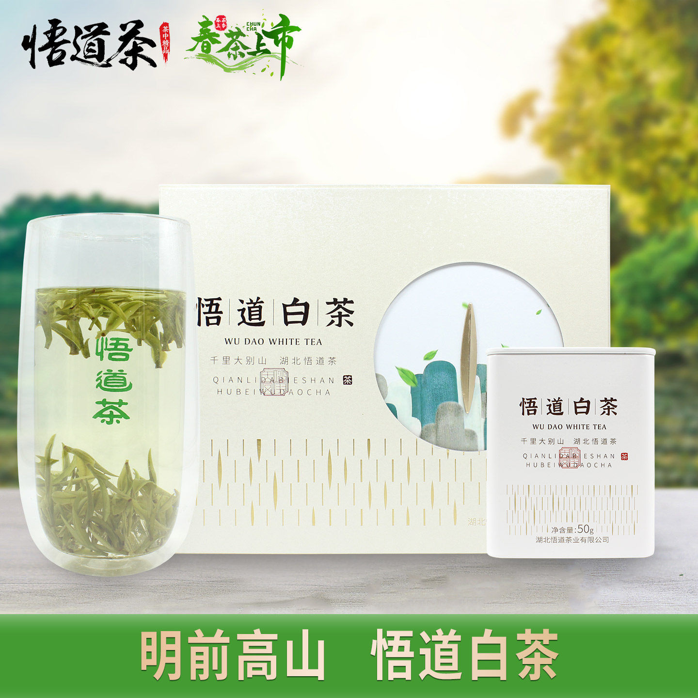 悟道牌高山白茶2026年大悟大别山明前特级早春精品茶叶孝感特产
