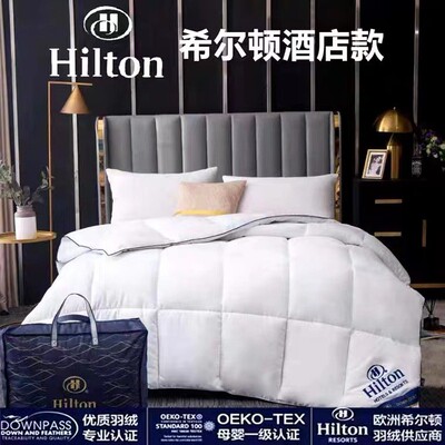 95% White Goose Down Hilton Hotel Thick Winter Quilt Core