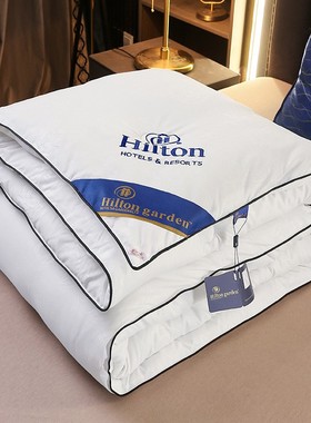 thick winter quilt hotel and homestay Quilt core Silk quilt