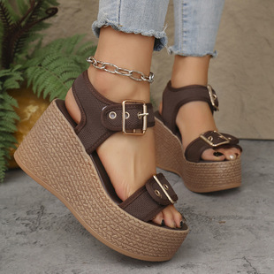 Trendy Women's Platform Wedge Sandals Comfort Chunky Heels