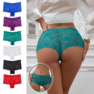 Sheer Panels Mid Sexy Breathable Panties Rise Briefs Lace