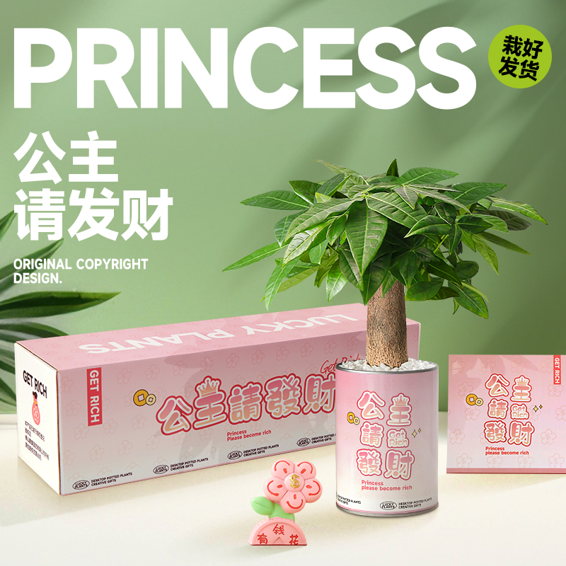 发财树小盆栽绿植室内盆景办公室桌面情绪稳定植物招财植物送礼物