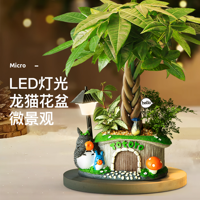 发财树盆栽室内客厅创意盆景送礼