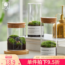 子乐湾 苔藓微景观植物生态瓶奇趣绿植创意DIY小盆景桌面绿植摆件