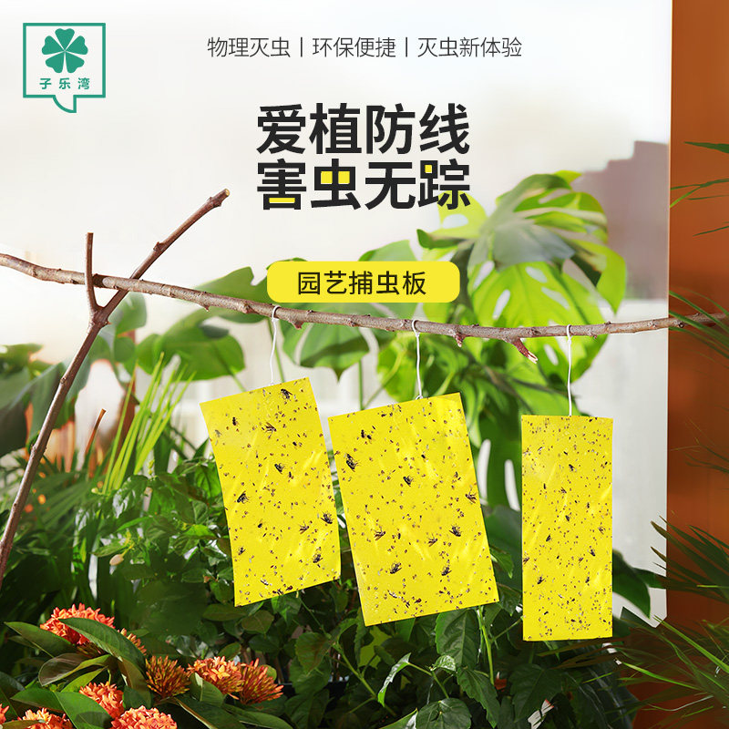 黄板双面粘虫板诱虫板纸贴灭小飞虫沾果蝇粘板绿植沾黏蚊子杀黑虫|ruв категории доставка цветов/цветок моделирования/растения садоводства, садовых принадлежностей, других садовых принадлежностей - от Buy2taobao.com для оказания профессиональной услуги покупки агента Taobao