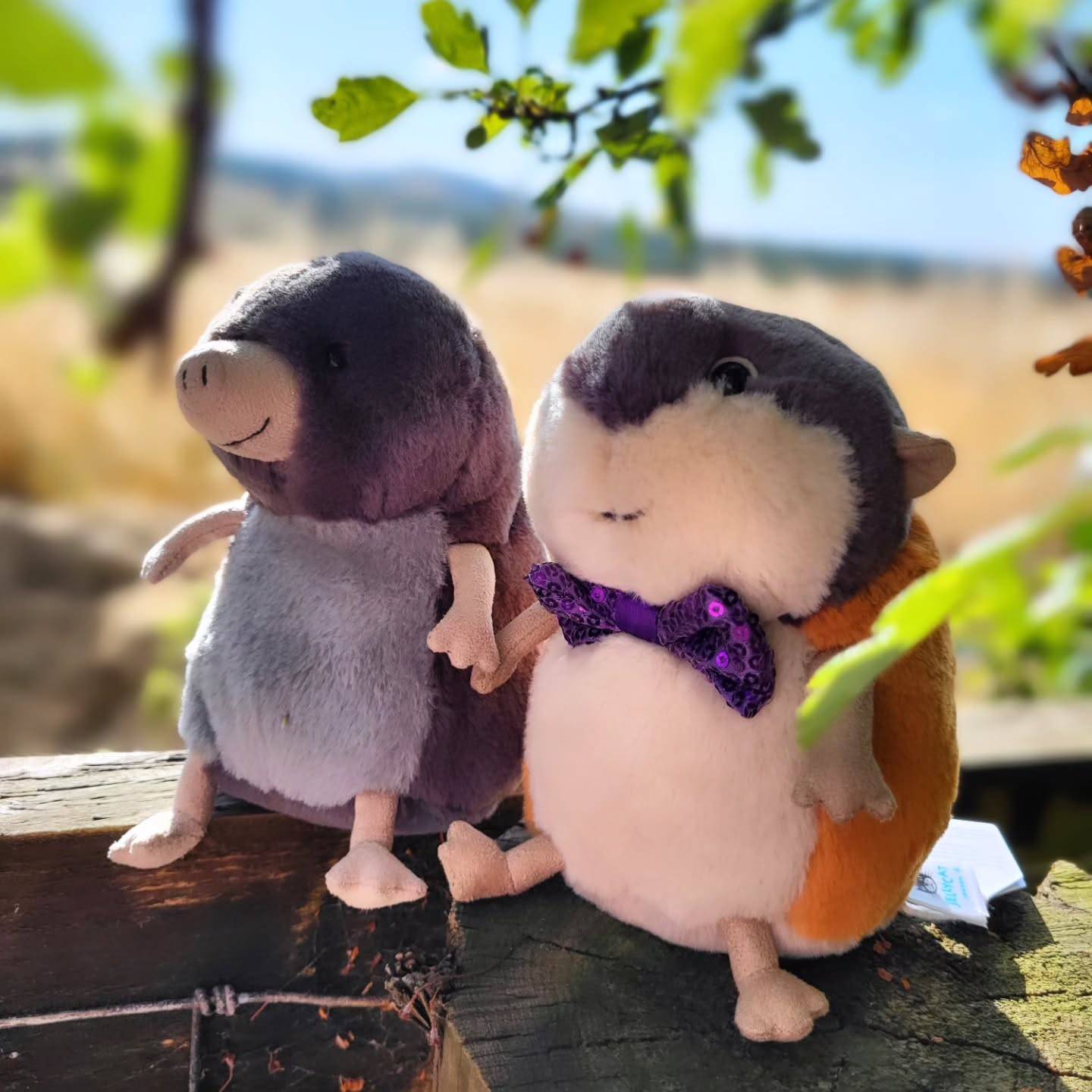 马斯韦尔鼹鼠 旅鼠 蜜袋鼯毛绒玩偶安抚玩具2025秋冬新品七夕礼物