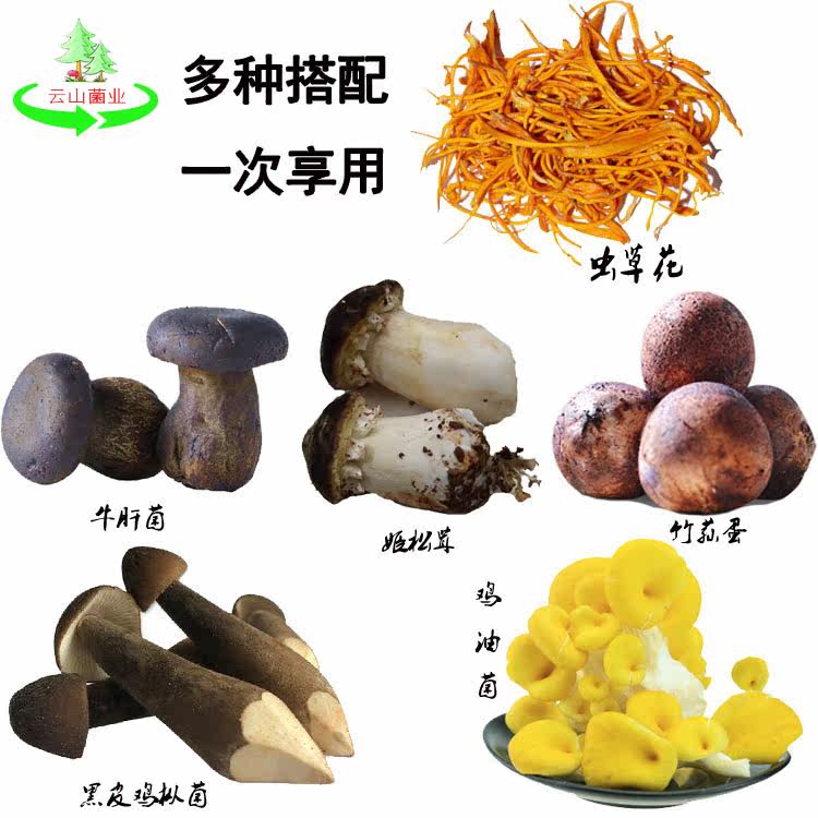 《云山菌业》虫草花 煲汤材料新鲜野生菌2000g牛肝菌鸡枞菌姬松茸|ruв категории зерно риса/север и Юг сухих грузов/приправы, север и Юг сухих грузов/мясо сухих грузов, сухогрузный/родной, грибов - от Buy2taobao.com для оказания профессиональной услуги покупки агента Taobao
