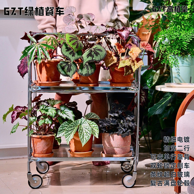 GTZ·包豪斯风 秋海棠餐车 绿植推车 植物花架子｜金属玻璃带刹车